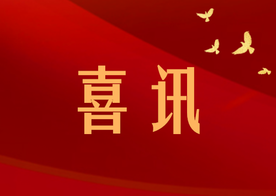 喜訊丨潤通科技獲評“重慶市優(yōu)秀民營企業(yè)”